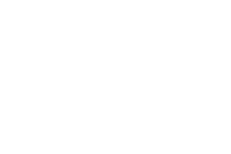 phoenix-logo